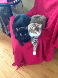 Meet your Posher, Mary